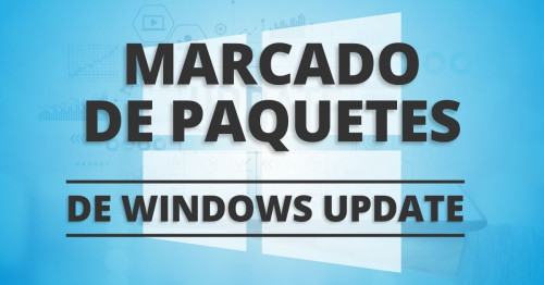 Imágen para Marcado de paquetes Windows Update